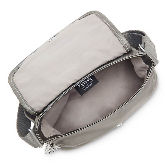 Bolsos Mini Kipling Sabian Metallic Crossbody Grises | MX 1347EB